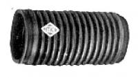 00538