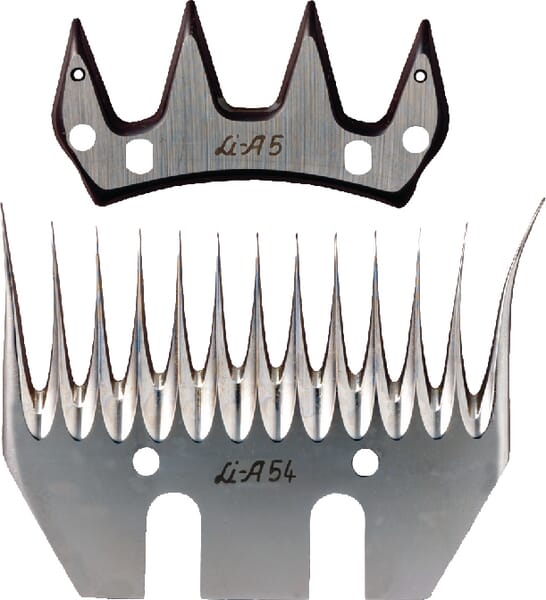 KR329855