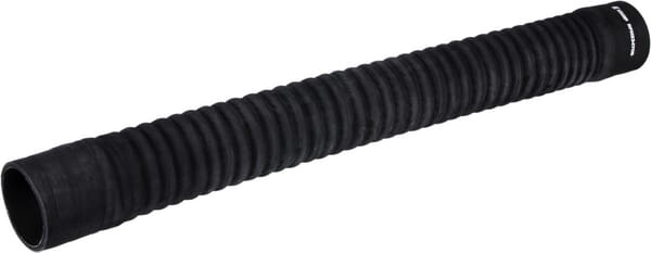 KR005581