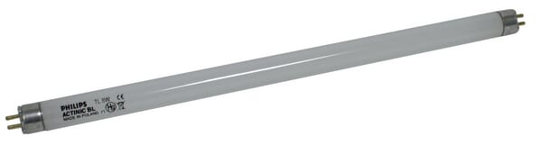 KR006955