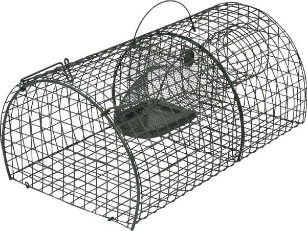 KR012261